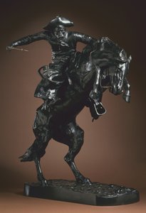 De Bronco Buster