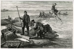 Zalmvissen. Gravure door F.Lix, ter illustratie van het verhaal 
