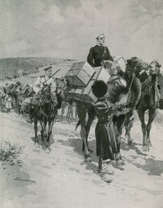 Zomercaravans door Frederic de Haenen