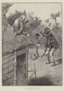Snelwegroof door een Indiase aap door Frederick Barnard