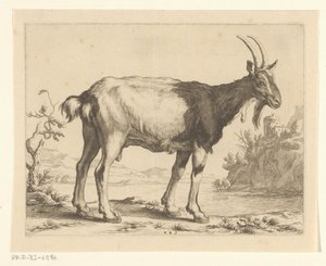 Geit door Frederick Bloemaert