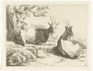 Geiten door Frederick Bloemaert