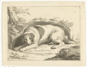 Spaniël door Frederick Bloemaert