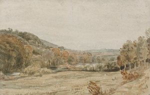 Rivier Tamar, nabij Endsleigh, Devon