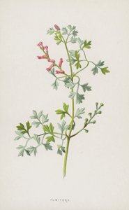 Duivenkervel door Frederick Edward Hulme