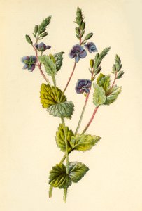 Ereprijs