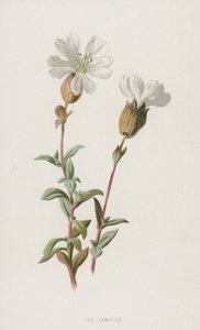 Zee Anjer door Frederick Edward Hulme