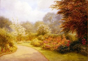 Azalea