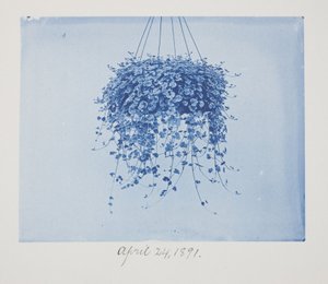 Zonder titel, 24 april door Frederick K. Coulson