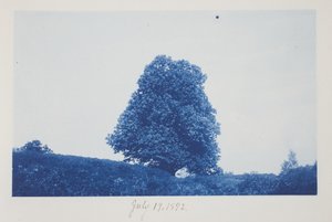 Zonder titel, 19 juli door Frederick K. Coulson