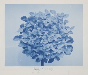 Zonder titel, 1 juli