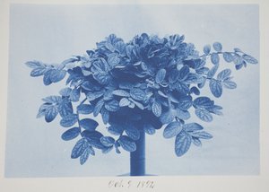 Zonder titel, 9 oktober