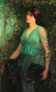 De Zwarte Orchidee, 1907