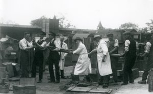 Een 20 ft. lange Python gedragen door elf leden van het personeel van de Zoological Society, London Zoo, juni 1925