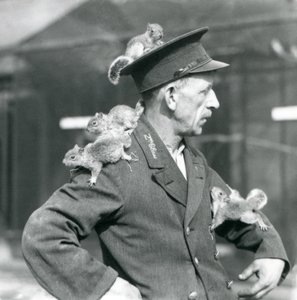 Een tweede klas verzorger met vier jonge grijze eekhoorns die op zijn uniformhoed en -jas klimmen, London Zoo door Frederick William Bond