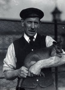 Een verzorger houdt een wallaby vast, oktober 1920 door Frederick William Bond