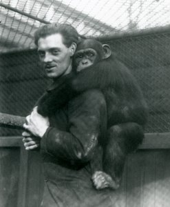 Een man draagt Chimpansee Sally op zijn rug, London Zoo, 1924 door Frederick William Bond