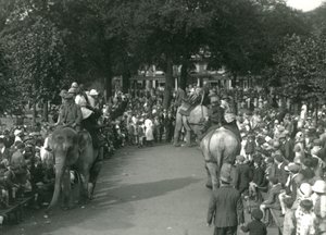 Olifantenritten, met drie Aziatische olifanten bekeken door menigten toeschouwers in London Zoo in augustus 1926