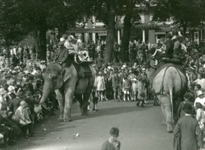 Olifantenritten, met twee Aziatische olifanten bekeken door menigten toeschouwers in London Zoo in augustus 1926