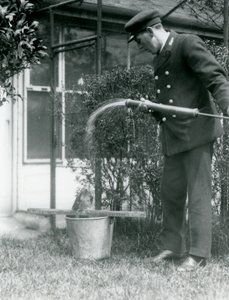 Verzorger Thomas Raggett geeft een Tawny Frogmouth een douche, London Zoo