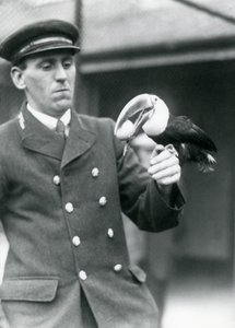 Verzorger, Thomas Raggett, houdt een roodbektoekan met een ei in zijn bek in London Zoo in 1924 door Frederick William Bond