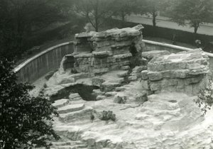 Apenheuvel gezien vanaf de top van de Mappin Terrassen, London Zoo door Frederick William Bond