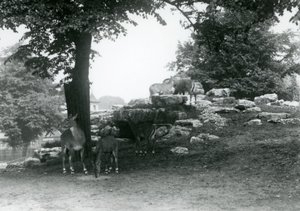 Het elandantilopenverblijf in de London Zoo in 1924 door Frederick William Bond