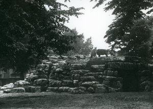 De elandantilopenweide in de Londense dierentuin in juni 1924