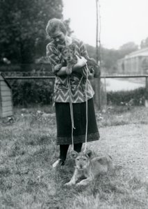 Twee leeuwenwelpen met een jonge vrouw in London Zoo, augustus 1925 door Frederick William Bond