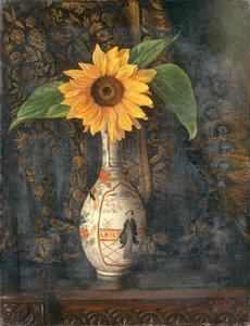Een zonnebloem