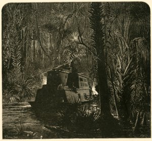 De Ocklawaha-rivier 