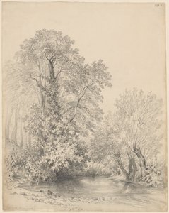 Bomen bij de Rivier in Castle Bromwich door Frederick William Watts