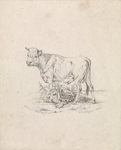Stier door Frederik Lodewijk Huygens