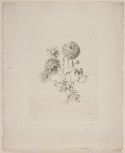 Bloemenmotief door Frederik Schepelern