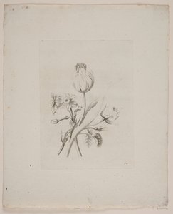 Bloemenmotief door Frederik Schepelern