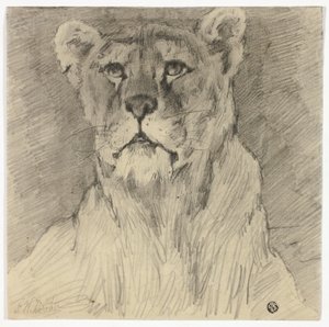 Vooraanzicht van zittende leeuwin door Frederik William Zurcher