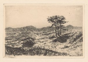 Heuvellandschap met drie dennen door Frederik van Eeden