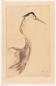 Reiger