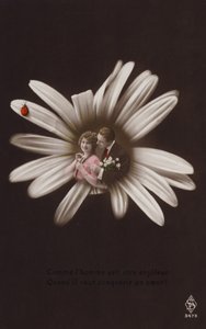 Een jong koppel in het midden van een bloem met een lieveheersbeestje