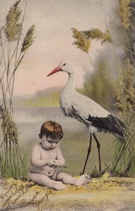 Baby met ooievaar door French Photographer