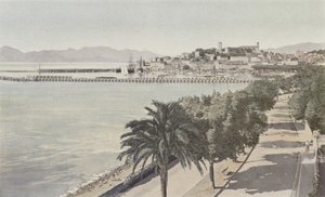 Cannes, Haven en Oude Stad, Boulevard de la Croisette