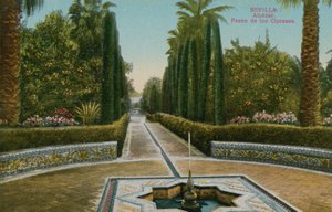Cypress Walk, Alcazar, in Sevilla, Spanje door French Photographer