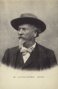Frederic Mistral (1830-1914), Franse dichter en lexicograaf van de Occitaanse taal