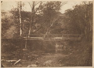 Landschap met bomen en brug,c. 1850 (foto) door French Photographer