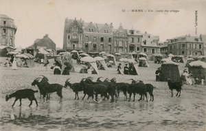 Mers - een deel van het strand