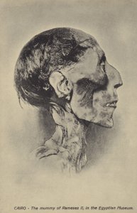 Mummie van Ramses II