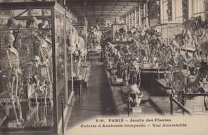 Parijs, Jardin Des Plantes