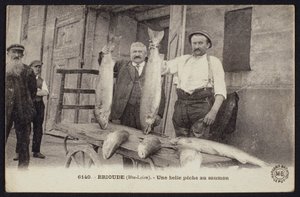 Ansichtkaart met een goede zalmvangst in Brioude, Haute-Loire, ca.1900