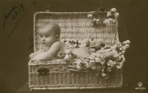 Ansichtkaart van een baby in een rieten mand met bloemen, verzonden in januari 1913