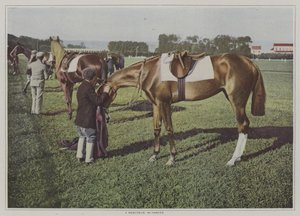 Renpaarden in Deauville, Frankrijk door French Photographer